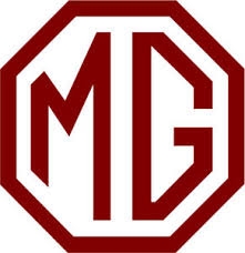 MG Gas Struts