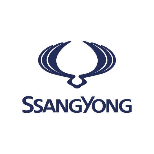 Ssangyong Gas Struts