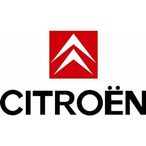 Citroen Struts| Citroen Boot, Tailgate & Bonnet Gas Struts
