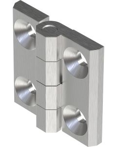 2101-500 Stainless Steel 316 Screw On Hinge 50x50mm with M6 Holes