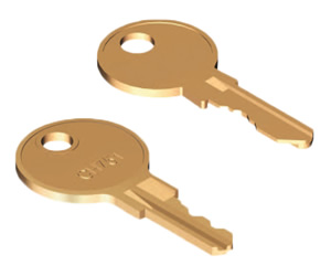 Tubular Keys & Access Keys | Buy Online at Metrol